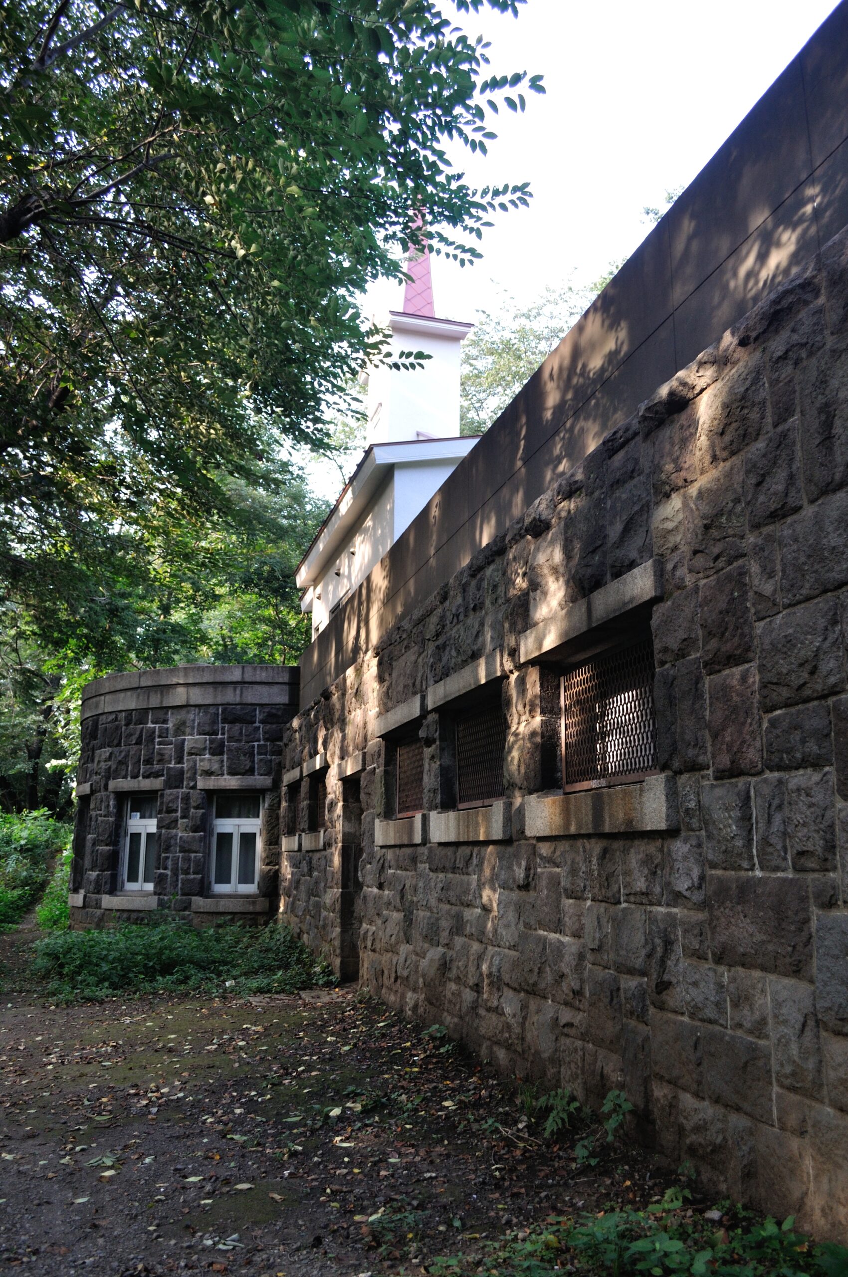 Ondernemer vergelijkt SEO en Google Ads strategie op laptop